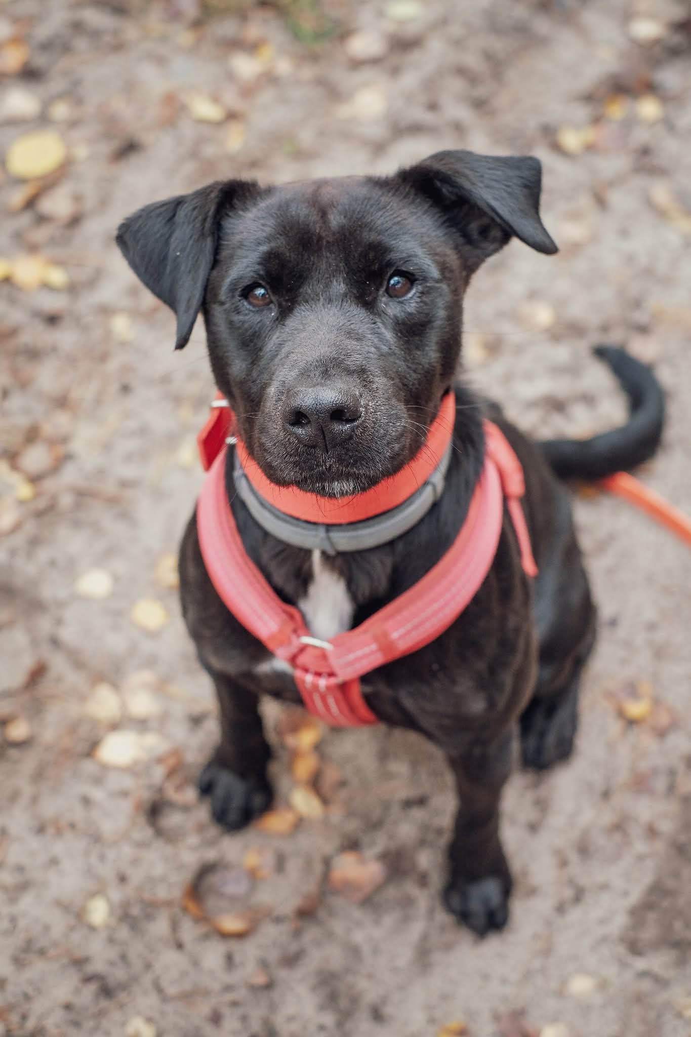 FB IMG 1776846791462