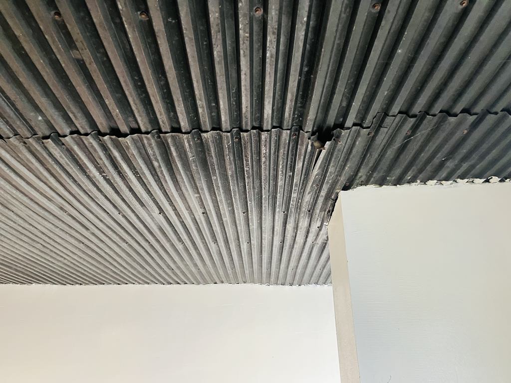 Ciepły kąt dla Celestyniaków – Pomóż nam stworzyć bezpieczne miejsce dla szczeniąt i psich staruszków! 1 1b1531ea f491 461a aa64 f64694e6e812