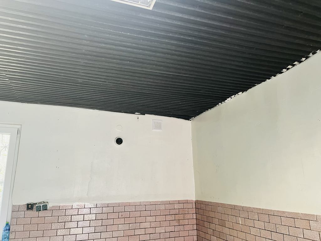 Ciepły kąt dla Celestyniaków – Pomóż nam stworzyć bezpieczne miejsce dla szczeniąt i psich staruszków! 7 21ed2c5b cf1e 4798 bff2 abf71bd7ed6f