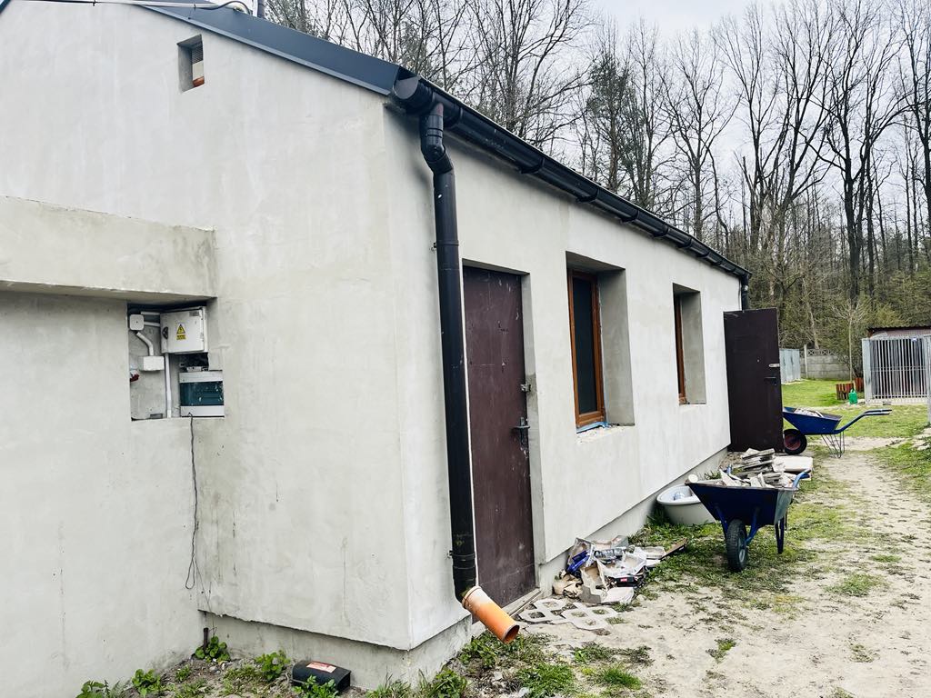 Ciepły kąt dla Celestyniaków – Pomóż nam stworzyć bezpieczne miejsce dla szczeniąt i psich staruszków! 12 47682cf6 e1e6 4667 bc50 89a42320a317