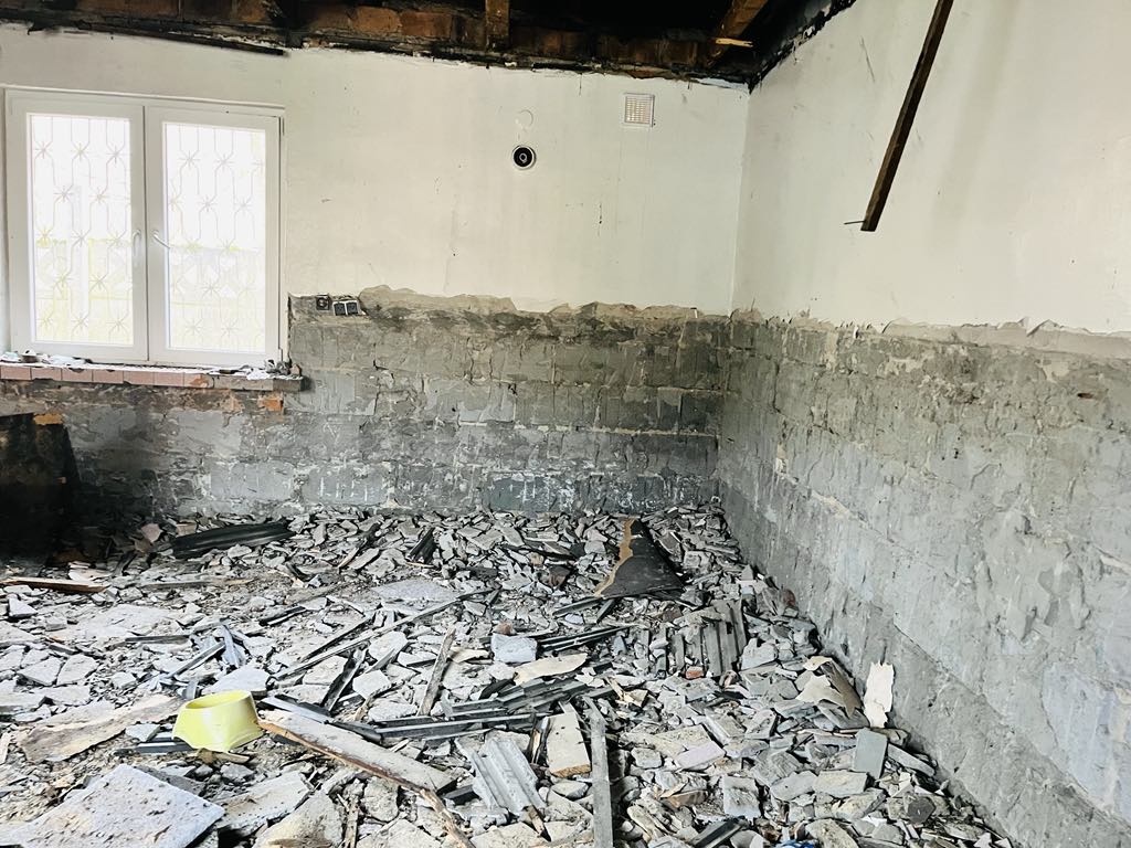 Ciepły kąt dla Celestyniaków – Pomóż nam stworzyć bezpieczne miejsce dla szczeniąt i psich staruszków! 3 6c560565 3fb1 4a2c 8150 ecdd4468928e