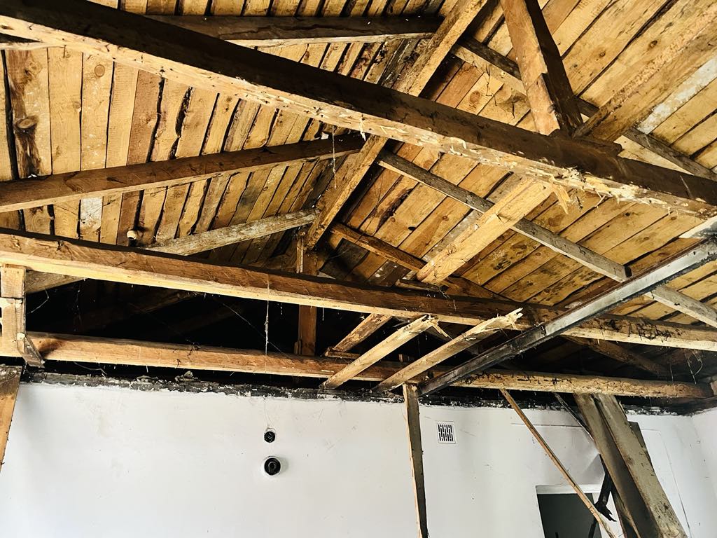 Ciepły kąt dla Celestyniaków – Pomóż nam stworzyć bezpieczne miejsce dla szczeniąt i psich staruszków! 4 7d6164ff 95e3 48ef adbe 05a46d48a11a