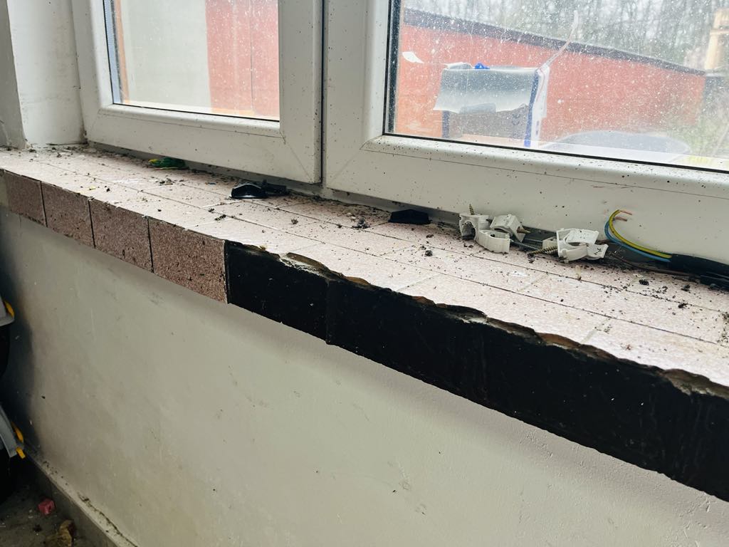 Ciepły kąt dla Celestyniaków – Pomóż nam stworzyć bezpieczne miejsce dla szczeniąt i psich staruszków! 9 80bb99ce 7caf 4266 86d2 513d0ef021c0