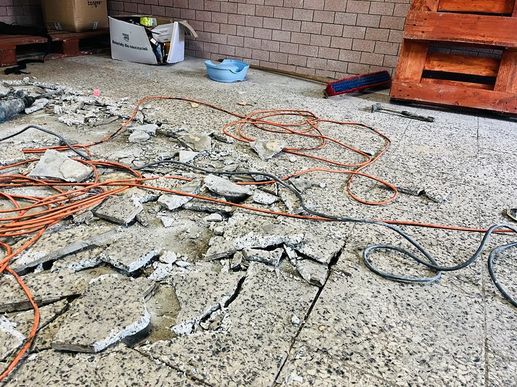 Ciepły kąt dla Celestyniaków – Pomóż nam stworzyć bezpieczne miejsce dla szczeniąt i psich staruszków! 14 b956bced ceac 4a2b 8197 20578581b658