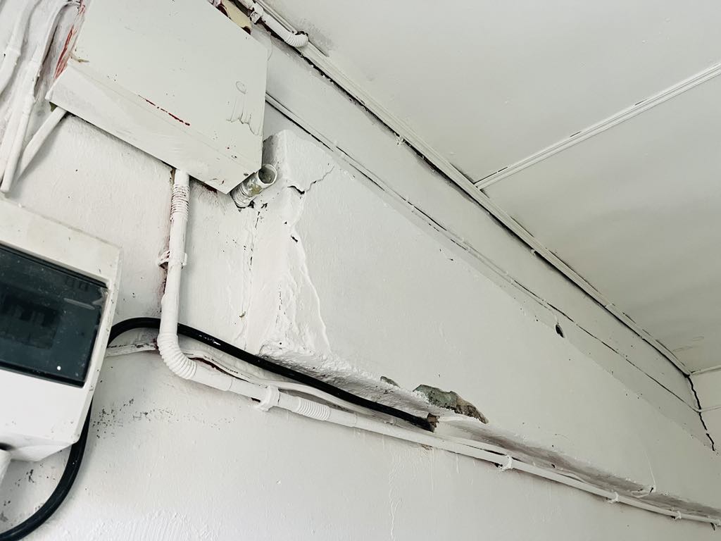 Ciepły kąt dla Celestyniaków – Pomóż nam stworzyć bezpieczne miejsce dla szczeniąt i psich staruszków! 16 d03b1bdd 0a72 4bd2 b47a ef5d4e8c08bd