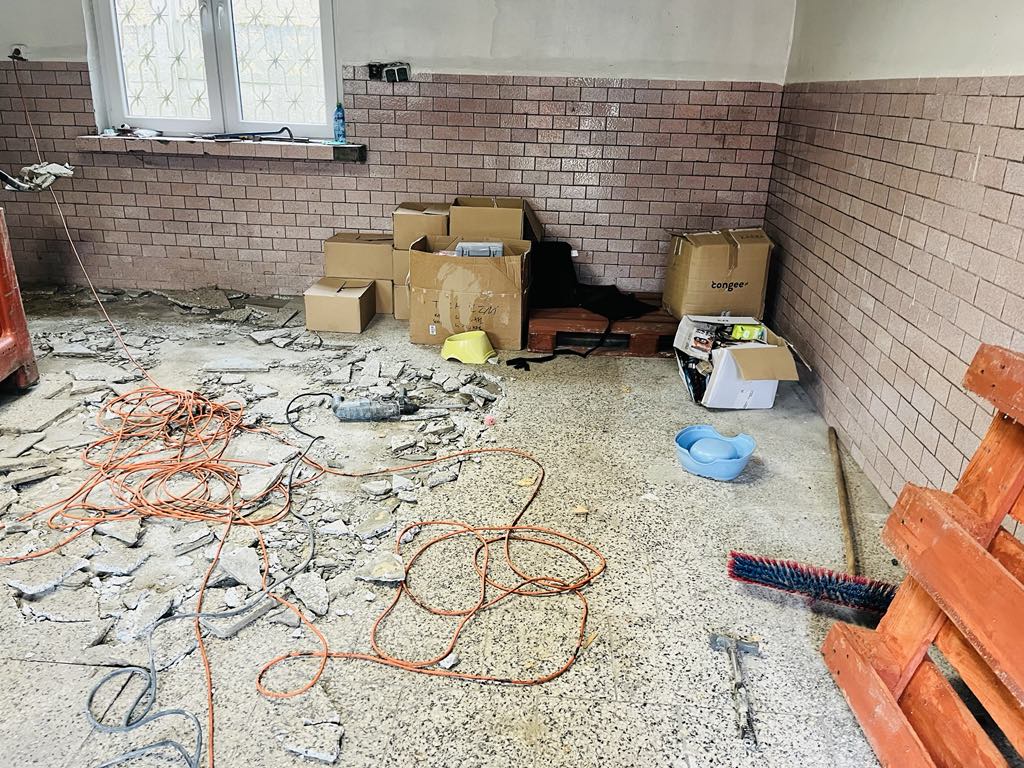 Ciepły kąt dla Celestyniaków – Pomóż nam stworzyć bezpieczne miejsce dla szczeniąt i psich staruszków! 18 ee9bd7ce 0db0 4c25 8ba1 0f425e30c554