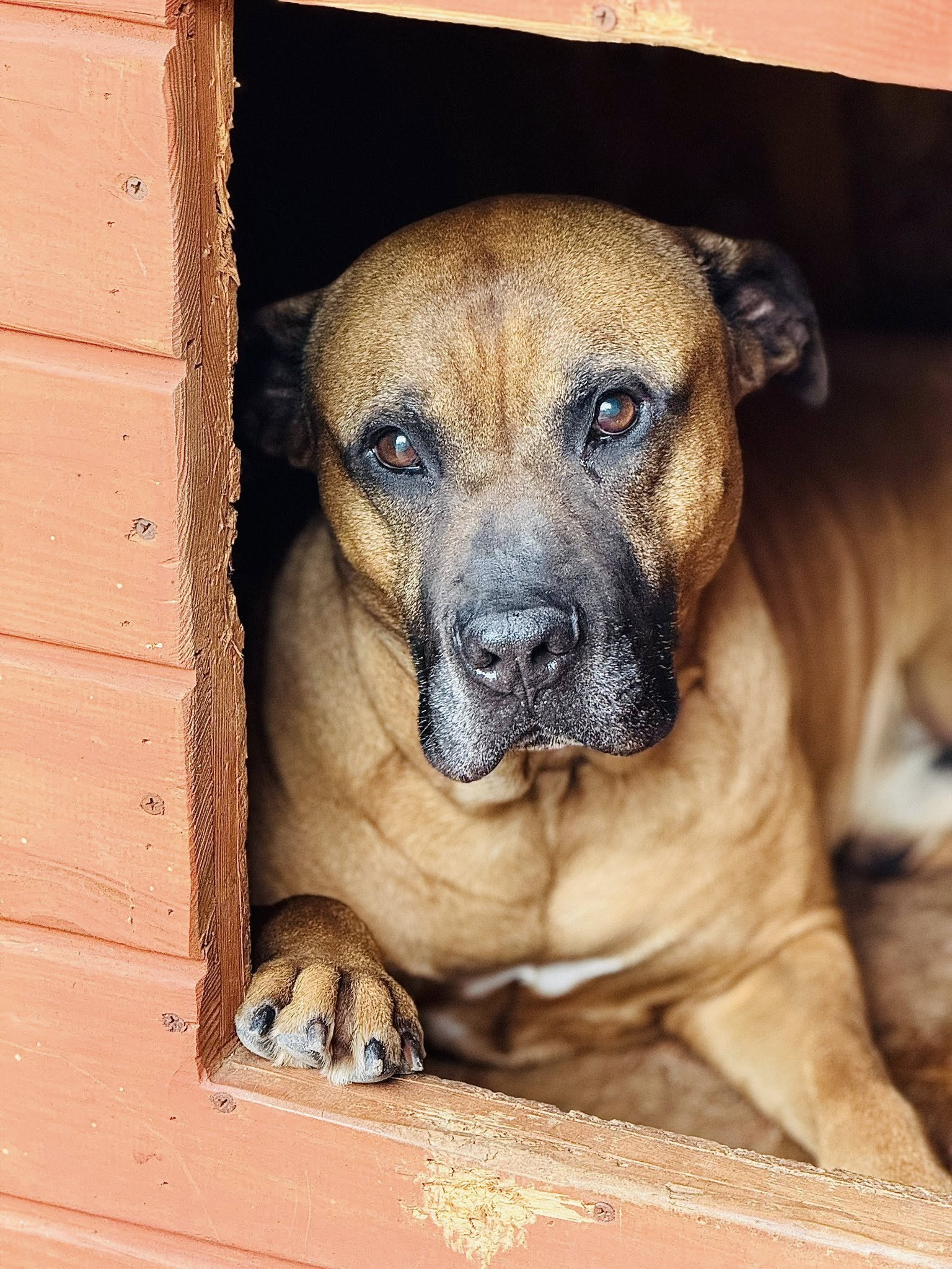 536284751 31355639984049675 8013366698091806035 n