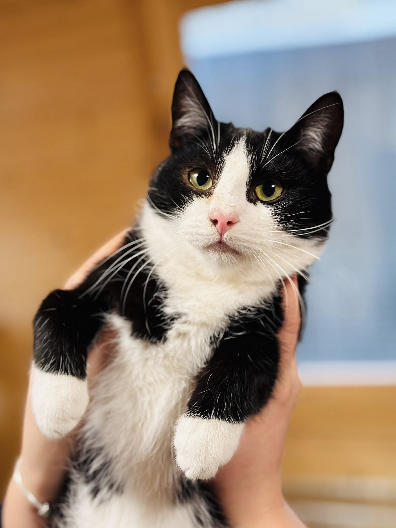 584959868 32924650030481988 2877126713837044549 n