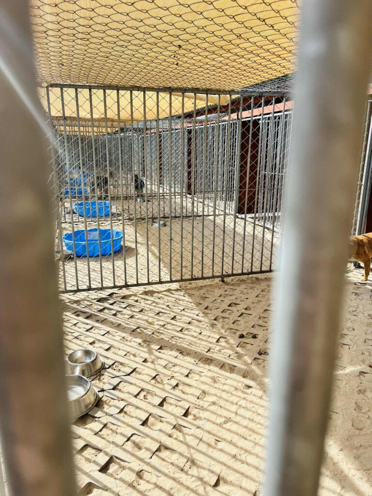 d59299dd 7110 4c41 954e be9141996cb9