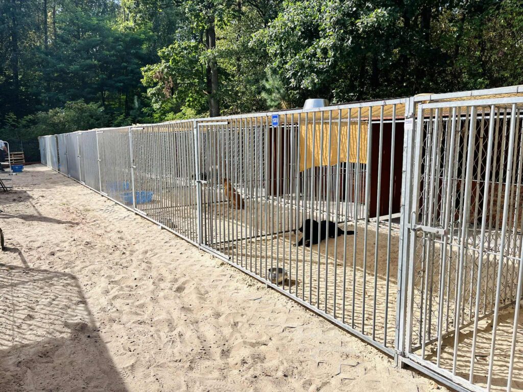 ebff5da4 5b98 485a 858e 9c1d5a289ef6