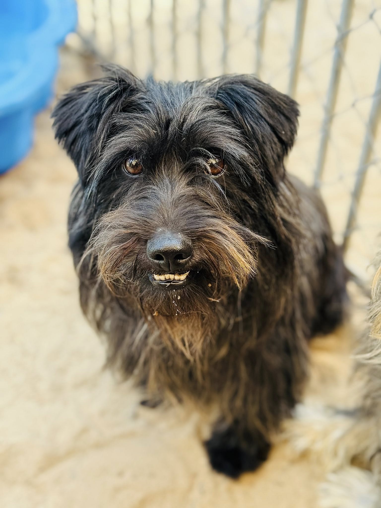 523177042 30950562521224092 3711969665886045050 n