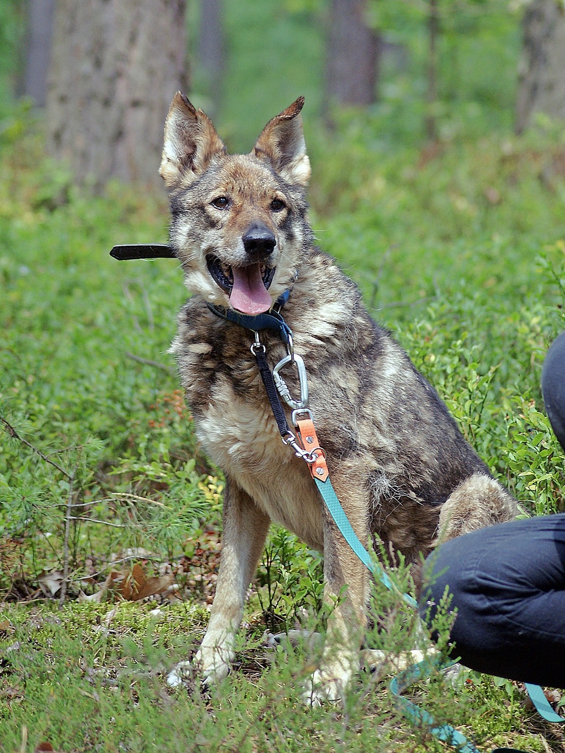 529717417 25331135646486400 1878551077236905426 n