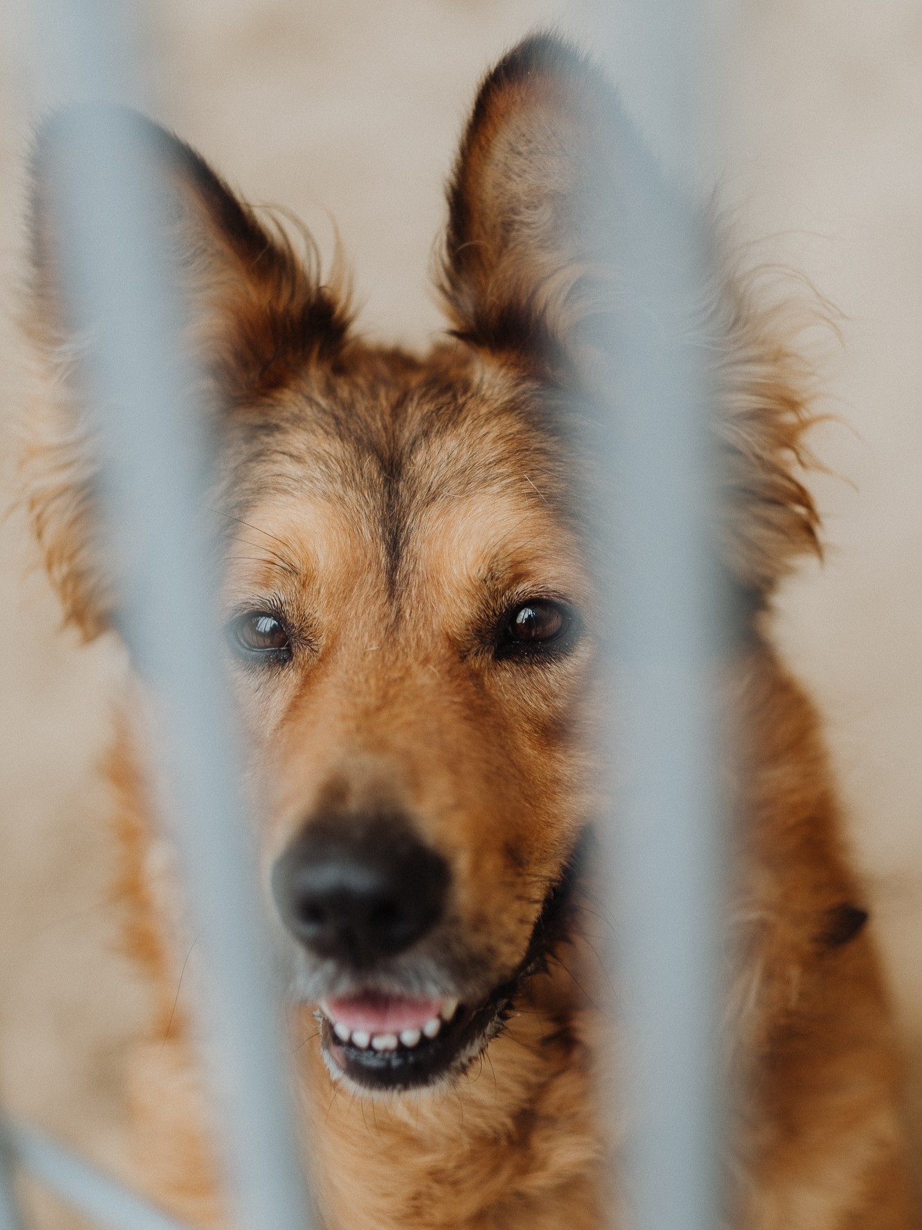 Rubin 4 543543382 32232820452983690 547724626048000031 n