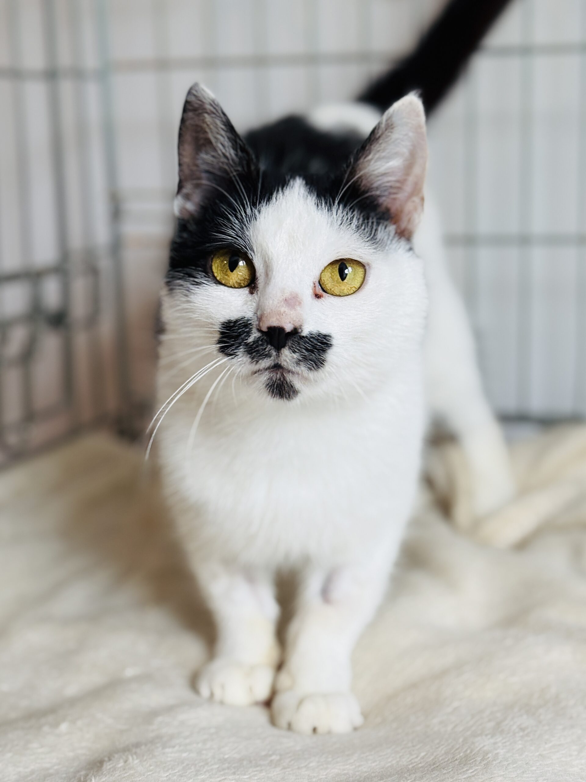 Kreta 5 IMG 9642 scaled