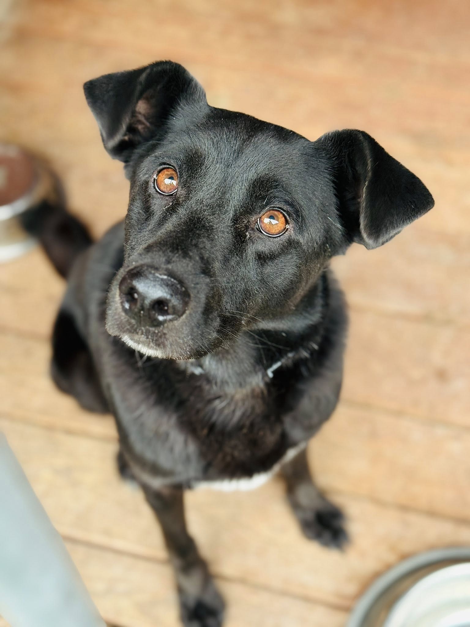 536390092 31353881150892225 5471453283304225078 n