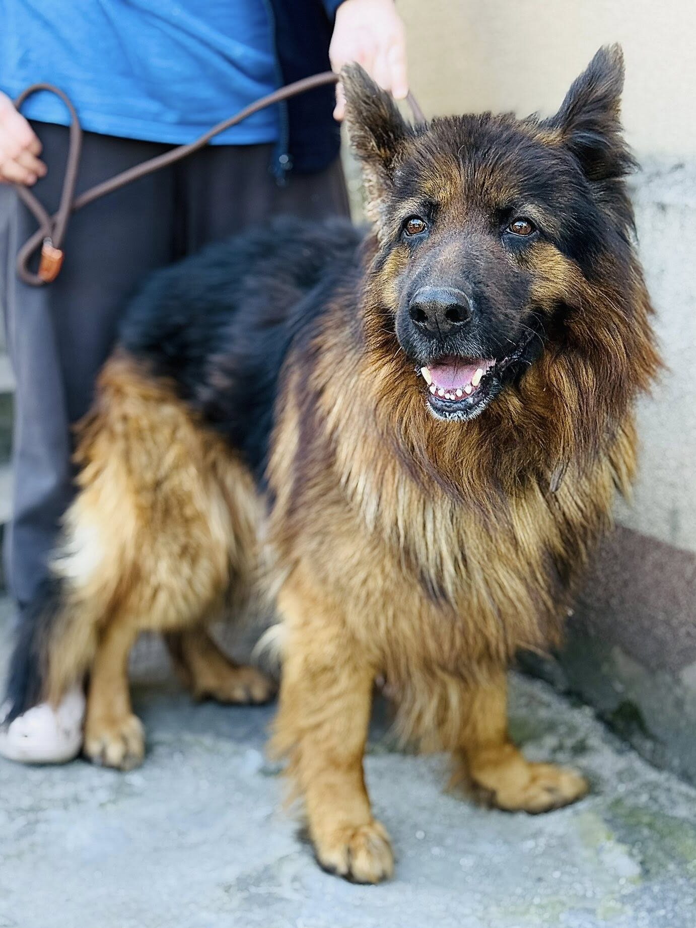 494177513 29703048075975549 3819808125652178258 n e1766366119740