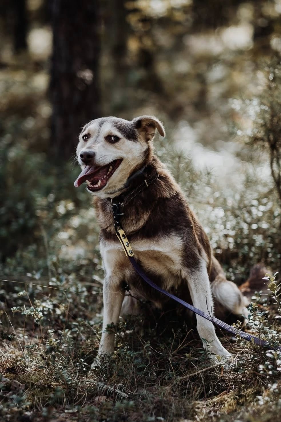 Etna 5 558300484 834744399123781 8030682409550998920 n