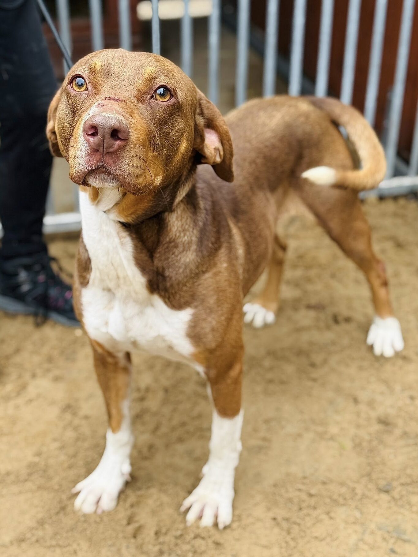 Grzmot 6 559928787 844708284794059 1756684625893943505 n 1 e1766366648680