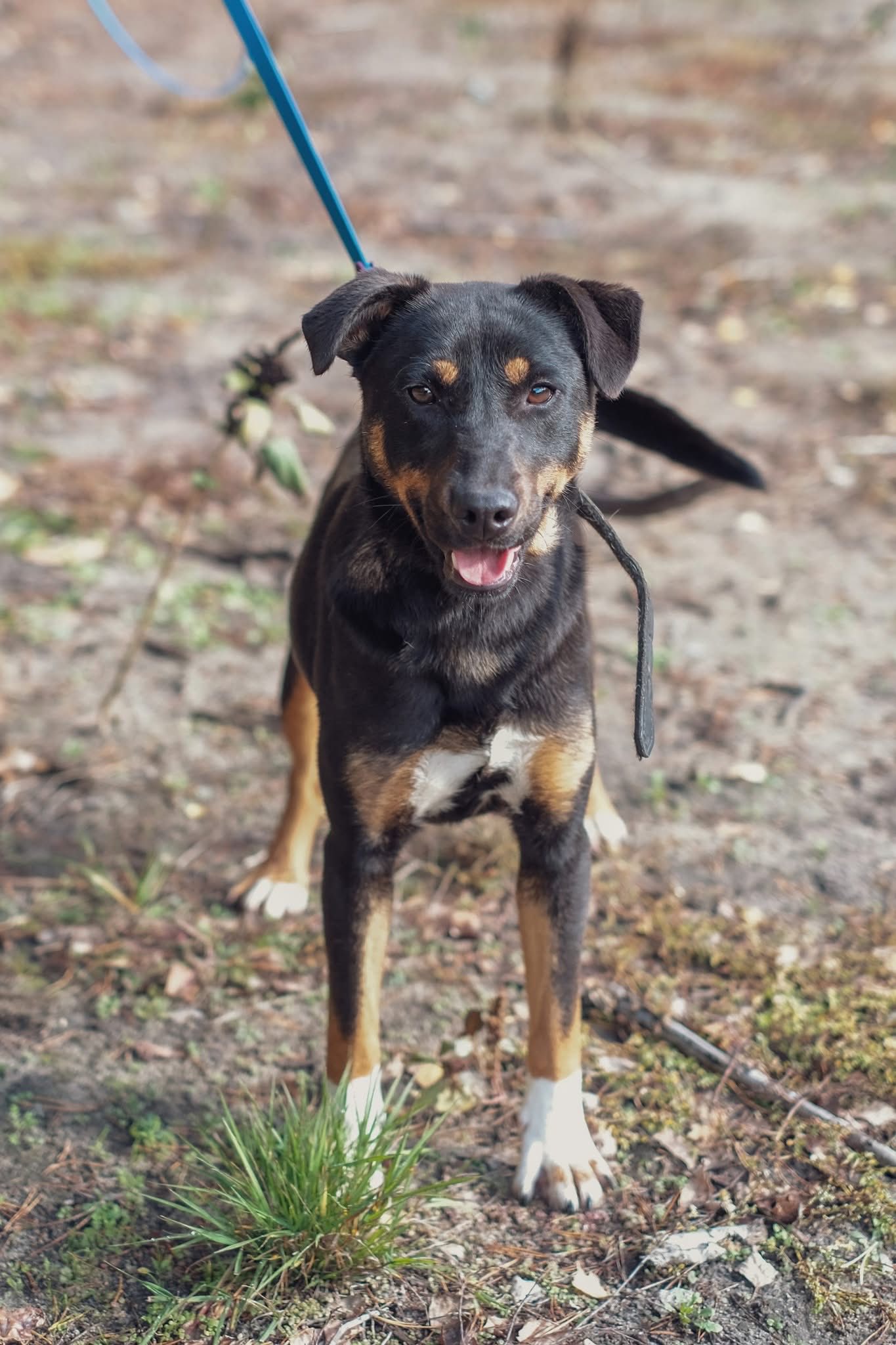 Amica 3 568701327 852275254037362 5679202936973626042 n