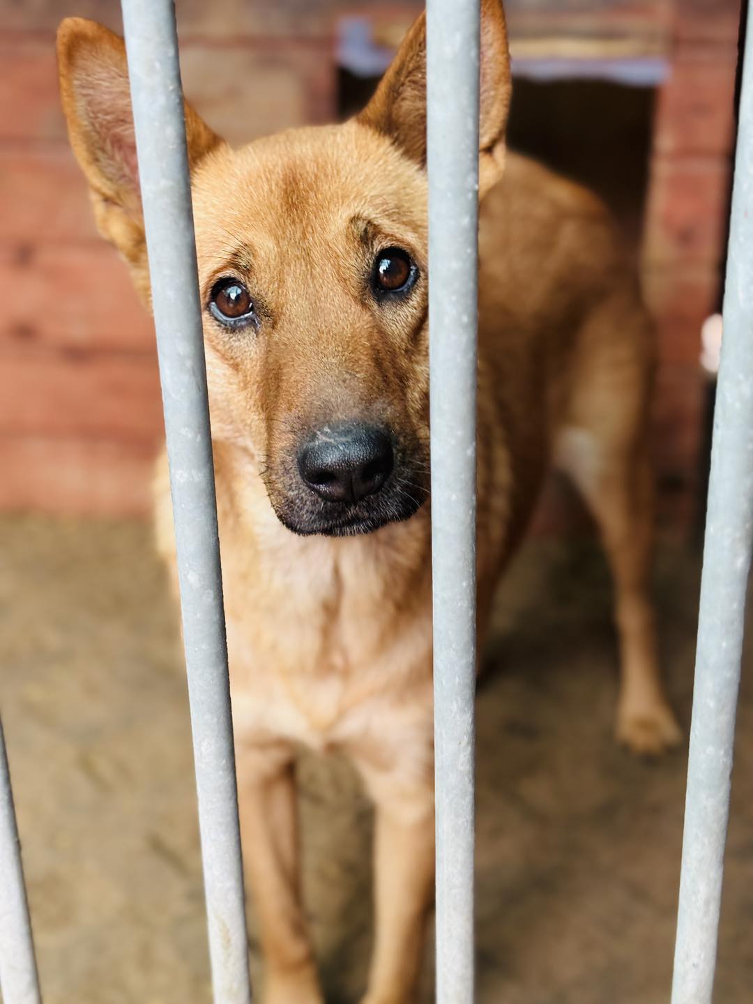 571545683 855323160399238 7291077702304625007 n