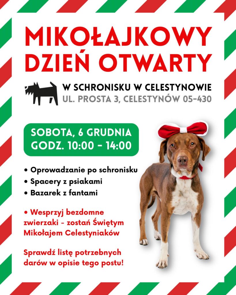 Mikołajkowy Dzień Otwarty 24 590818882 881944927737061 4345843431854439052 n