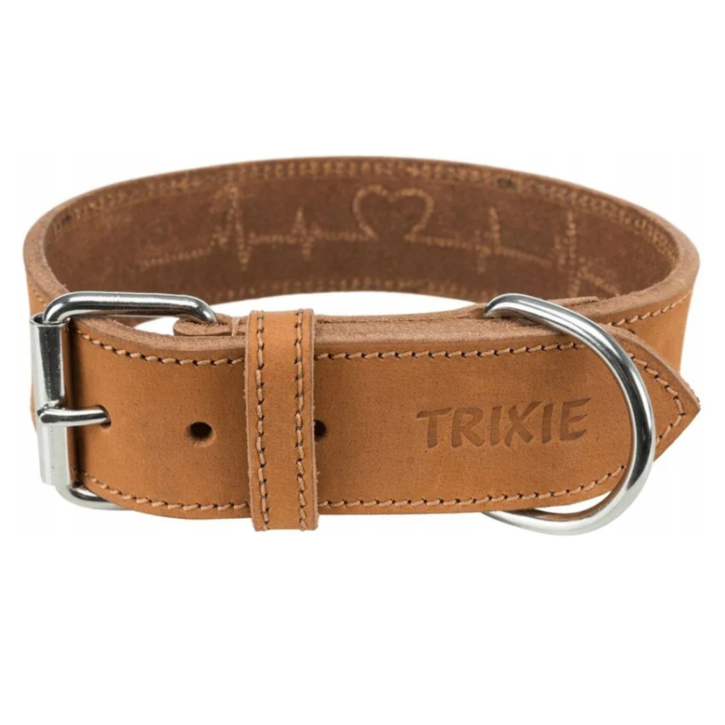 Obroża skórzana na sprzączkę