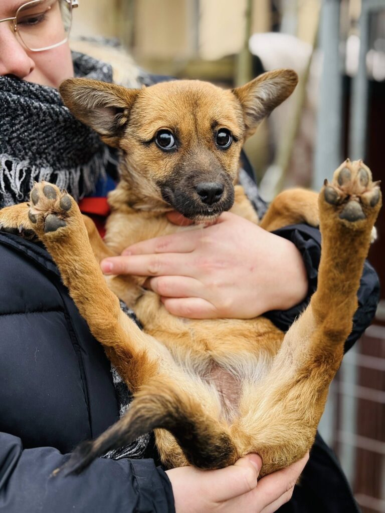 588649536 883984064199814 1370055507492503438 n