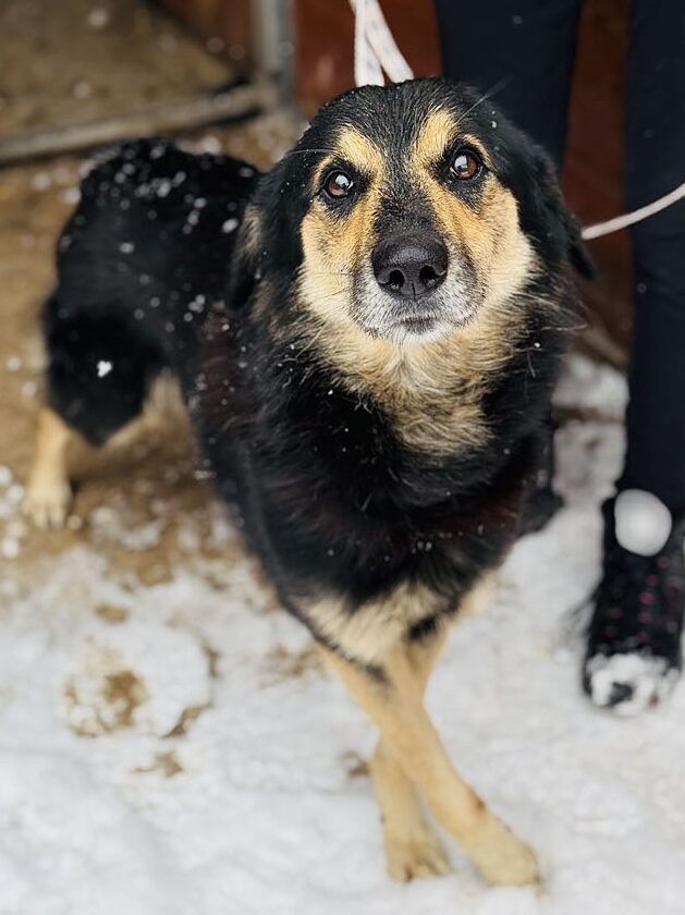 Max 1 588697677 32938618052418519 4617748152936681216 n e1766365555812