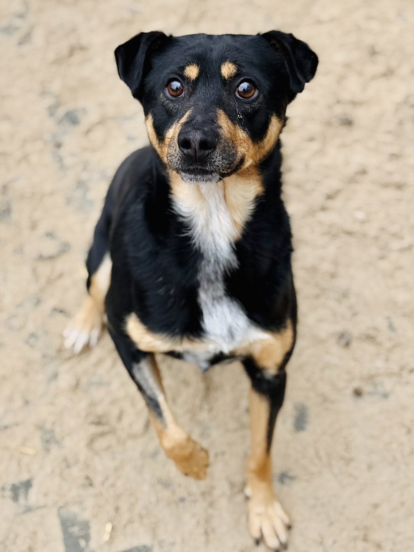 589820694 25093583140302839 2911180050658282425 n e1766365682234