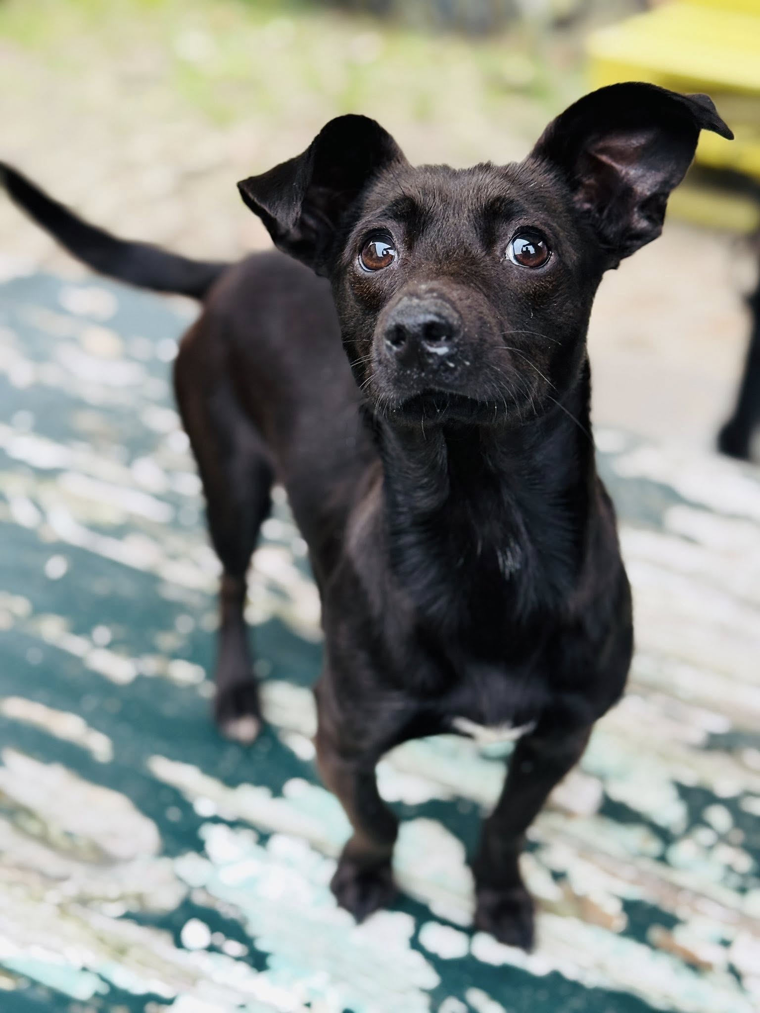 Michasia 5 589967438 33025184627095194 8897818863089417283 n