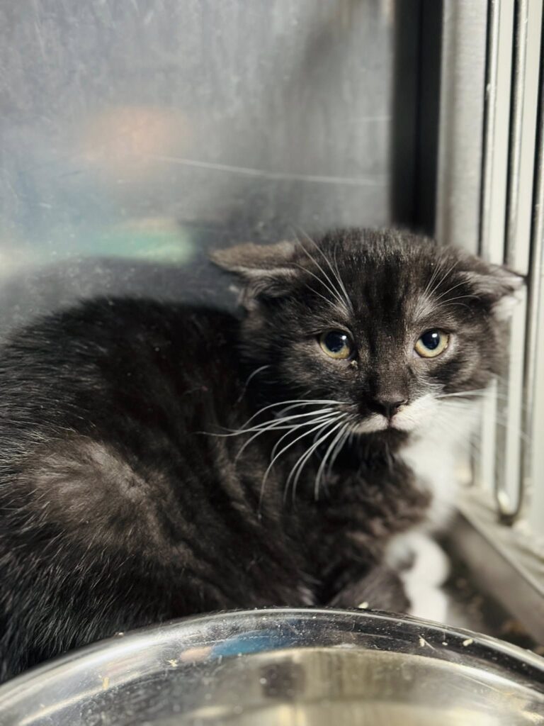 591929353 885614504036770 4171412989686827178 n