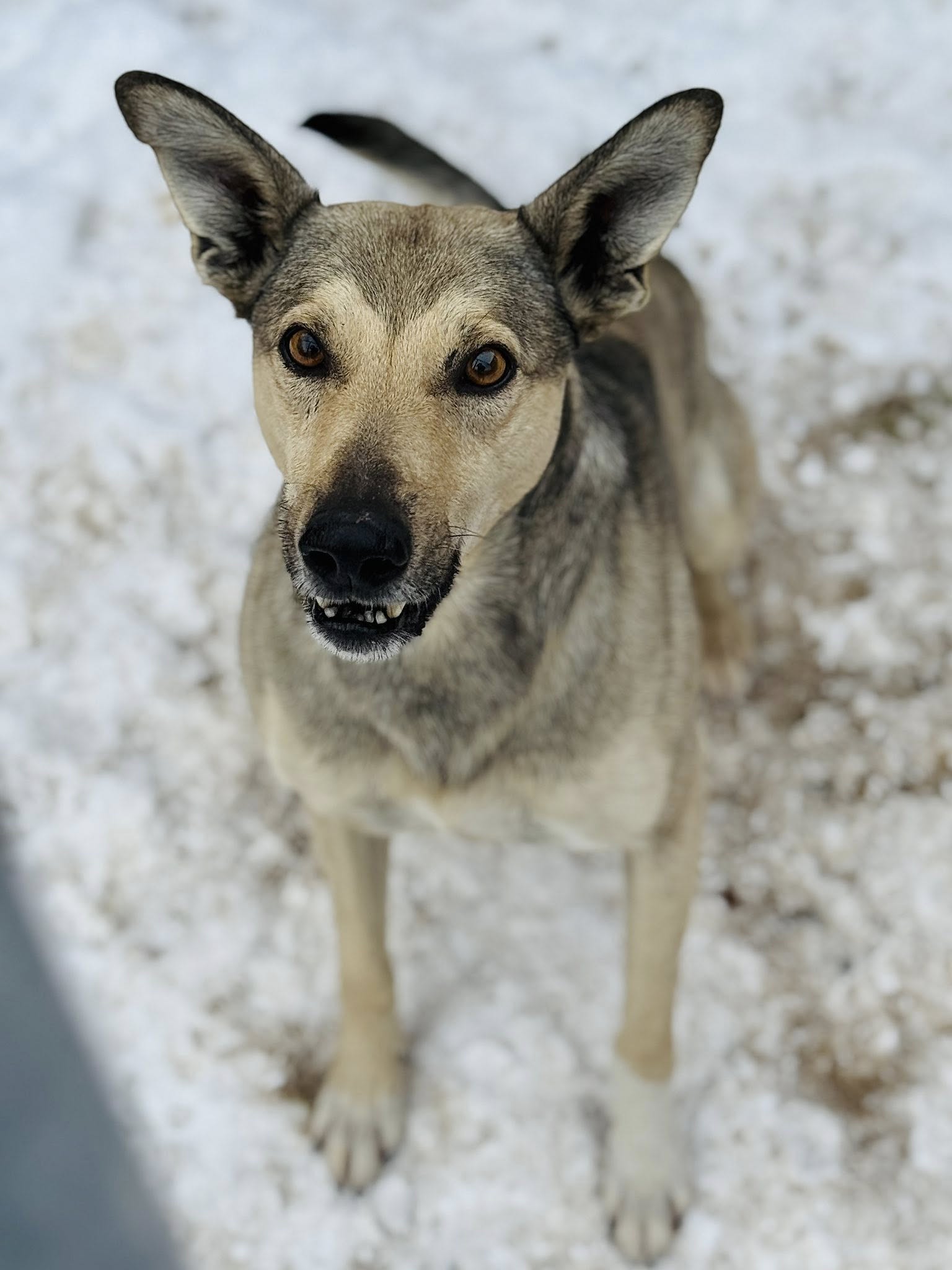 593484688 25166757599652059 5336454838379595945 n