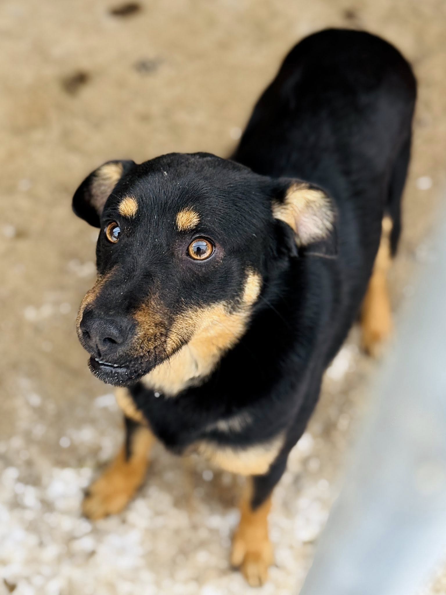 594199267 25166677432993409 8472975704695127367 n