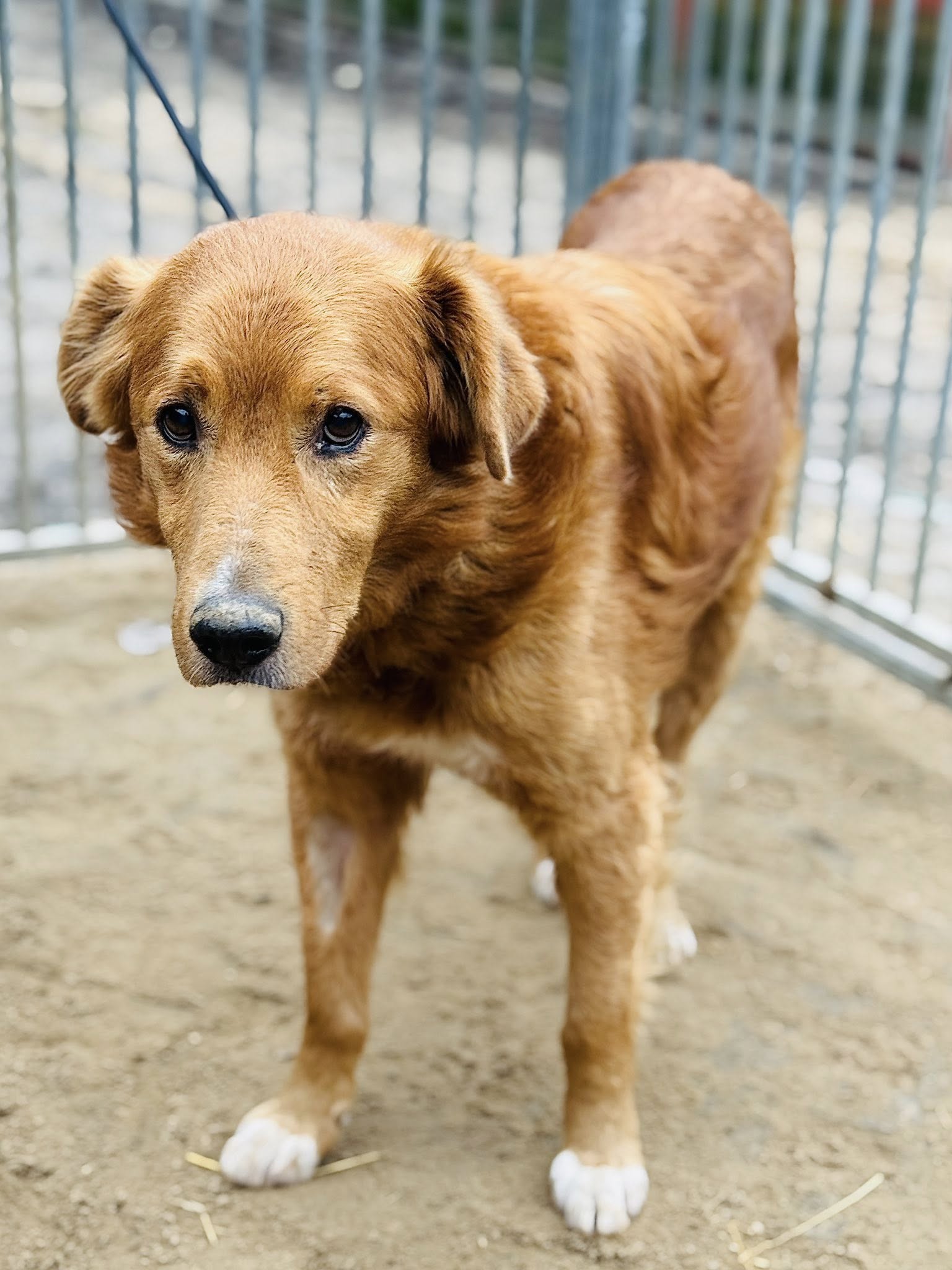 Indi 2 595199900 33129695989977390 4645079730505005634 n