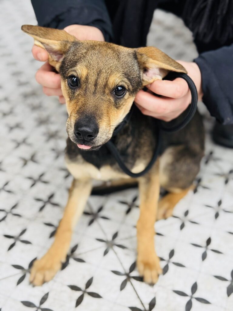 596700251 33255060534107601 3090370056312216749 n