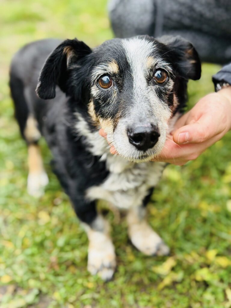 598814928 892706366660917 2657538475105719032 n