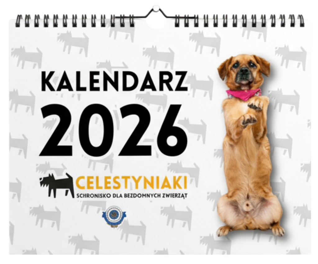 kalendarz 2026 e1766572183606