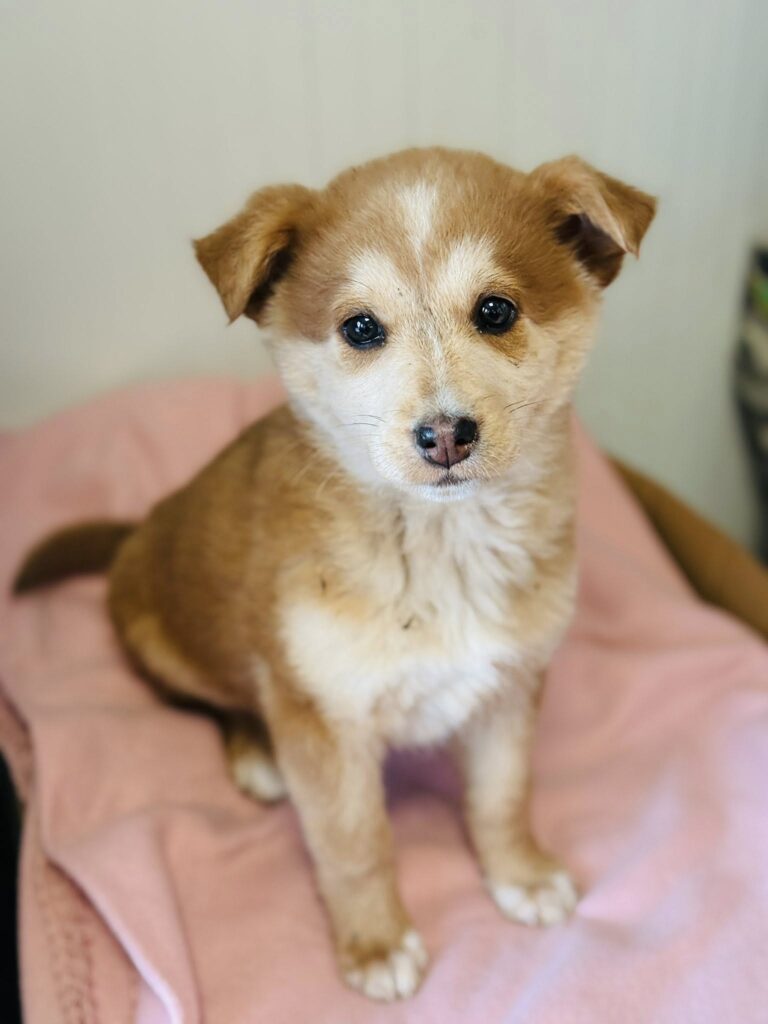 593545726 915423984389155 1165416884278144870 n