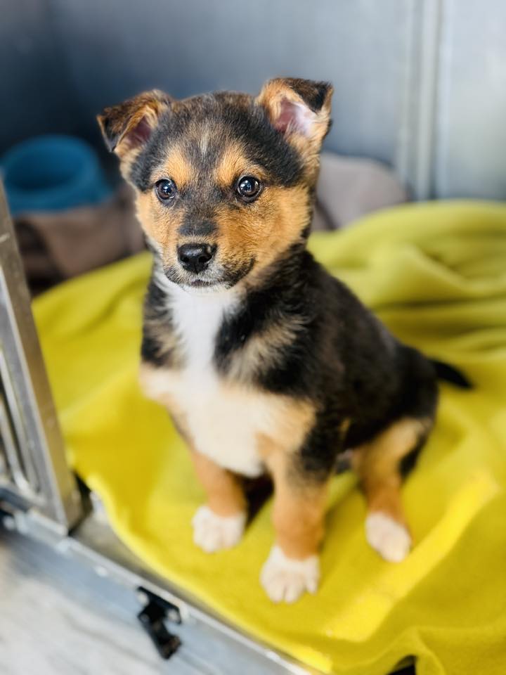 613797873 915273944404159 2270066613607870255 n