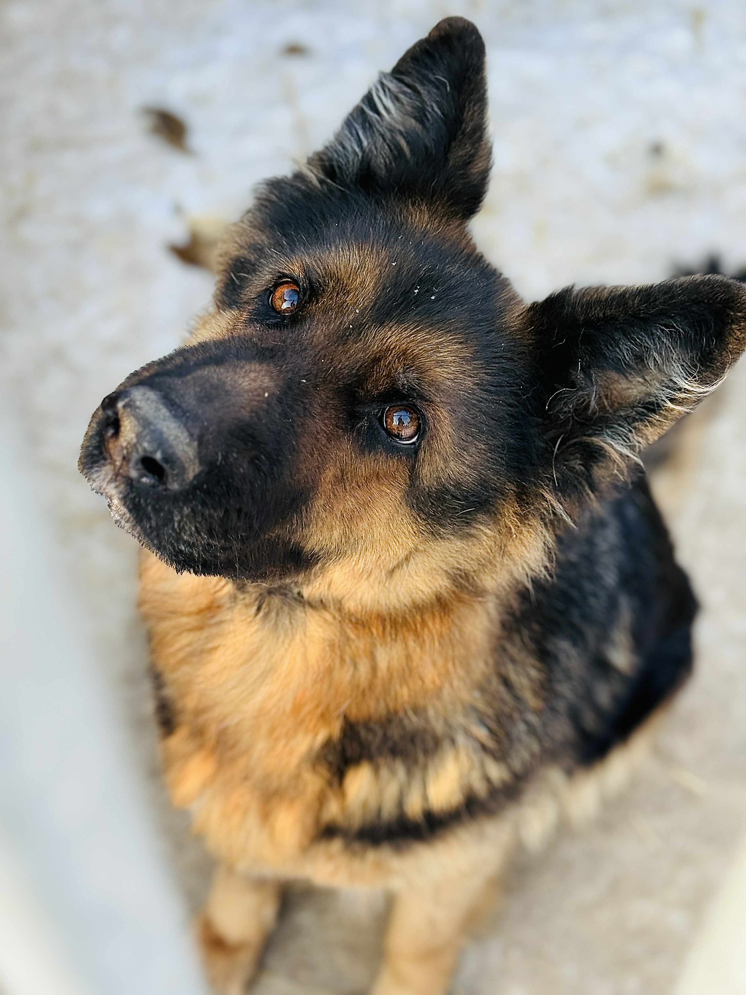 616161367 921537123777841 4862867994810124377 n