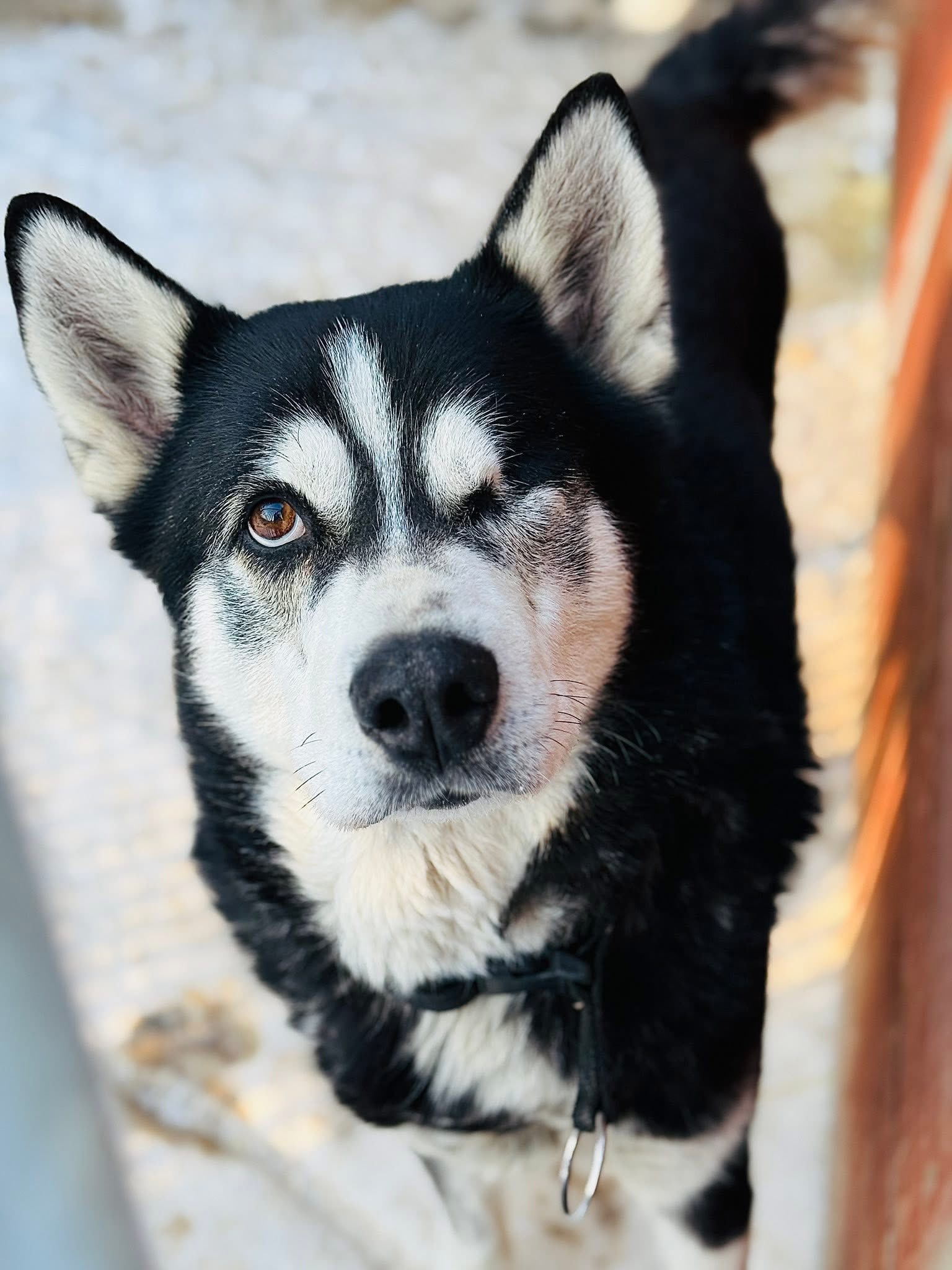 618812403 923209583610595 1400527174795367381 n