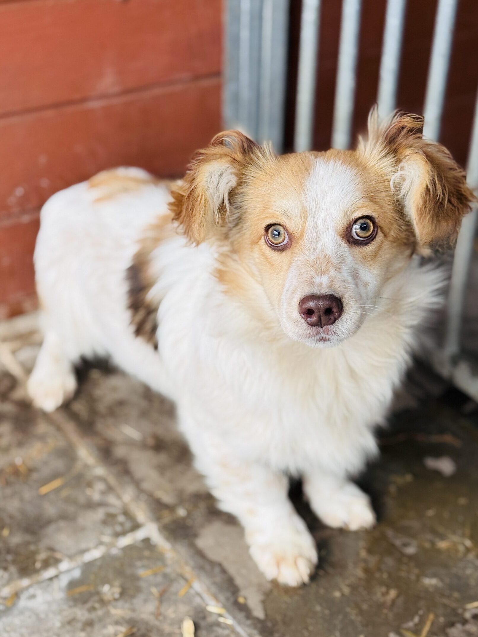 IMG 0144 scaled e1768688143671