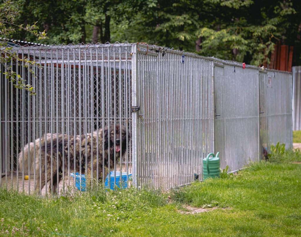 IMG 1199 e1768843061502