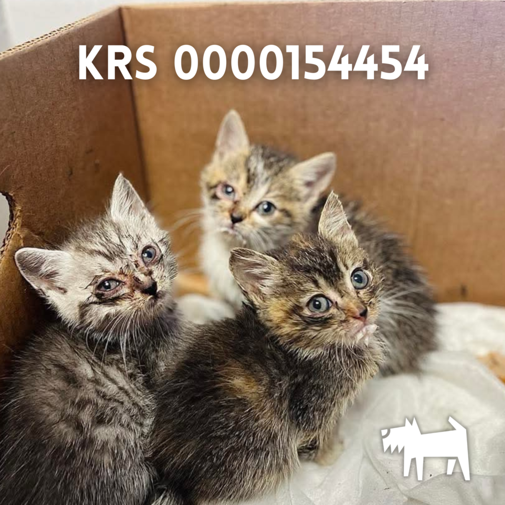 Naglowek 2000 x 2000 px