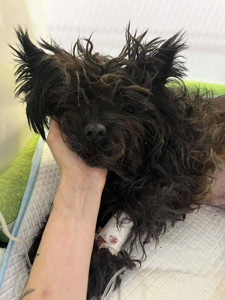 att.6obBuZ9nHqSpbL lCS2jQPHE9EK2l7X2tNQ03h0LjDk