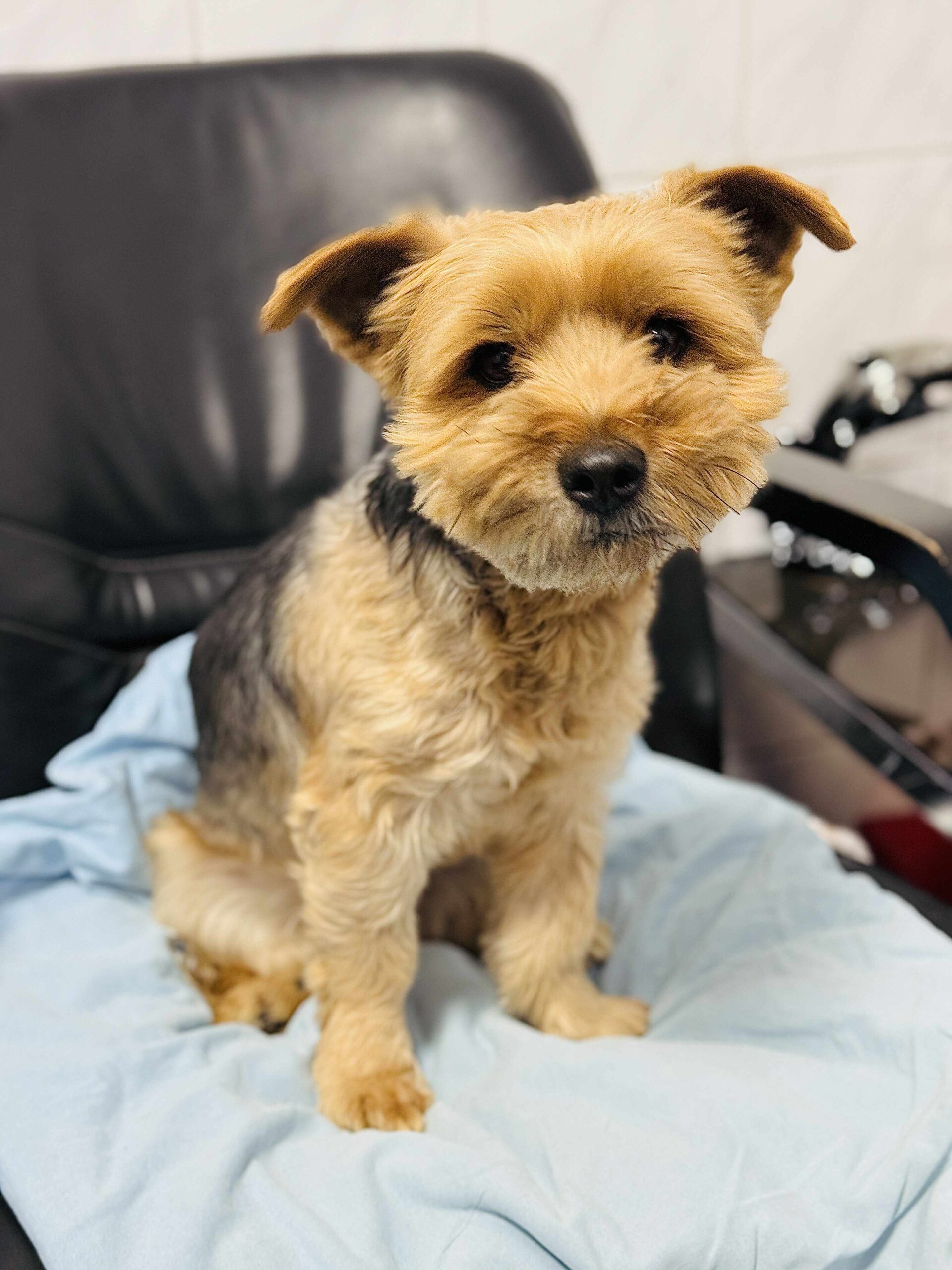 att.8uw2pYxjAUsglDD hmlQYQfo fFjRNFT7muR L9ZBy4 scaled