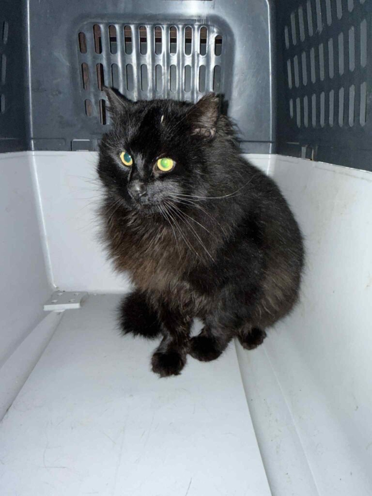 att.AMTV5U5AaTfhfYlNUTUZPW5cDiranhdEdlKU0Anj5DA