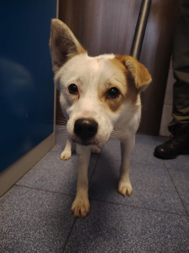 att.LP1jYvsNTL7c QuiGW 2rewrlJyebMZ TpEZGjOWqt8