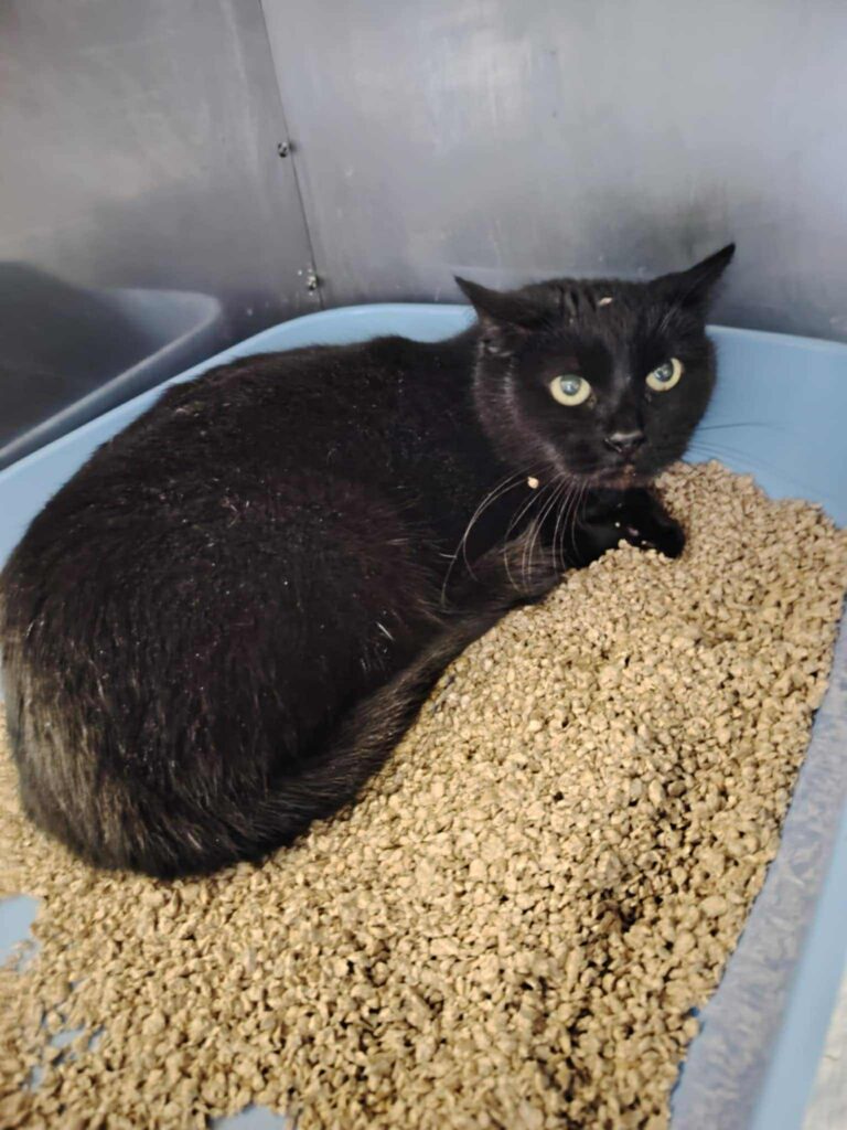 att.OnyrbP6fztV9lENxRhVYs3SVdvVLU3 Ypenw7PxiRPY