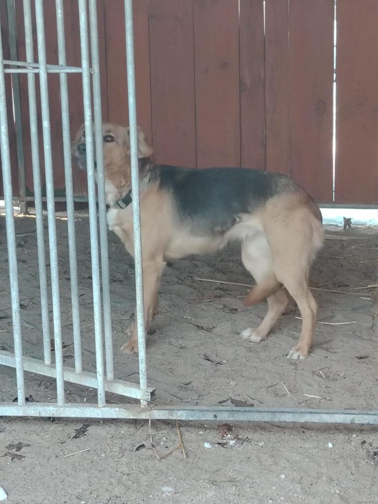 att.lLrzIP2I RFWeGNxayoiWAy230yIs9mgVau0f lLYUg